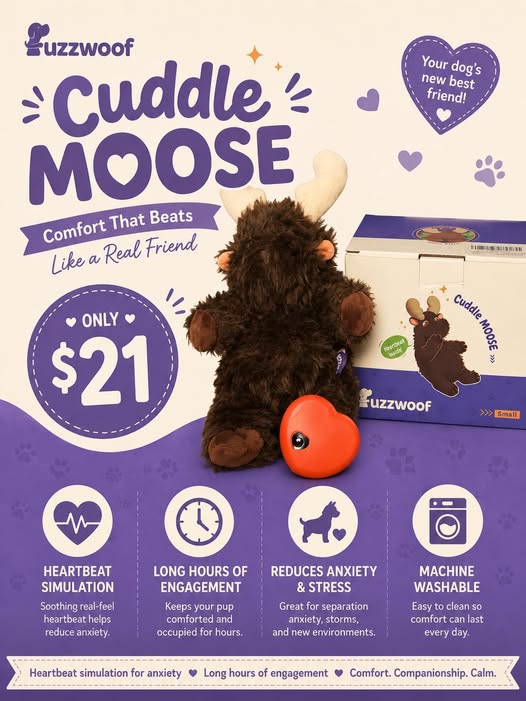 Cuddle Moose